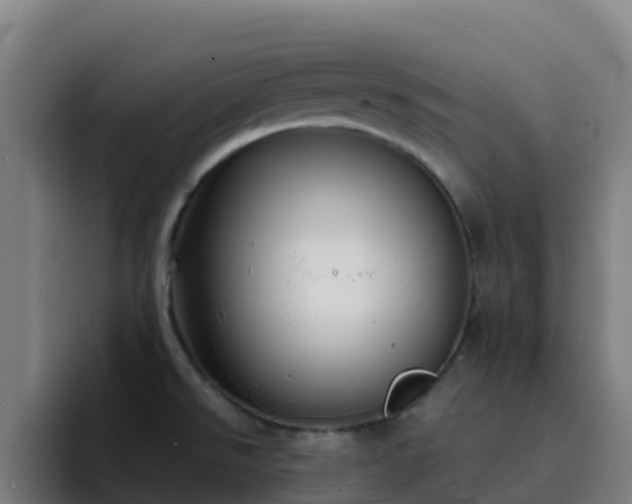 X0000094921526200712061059