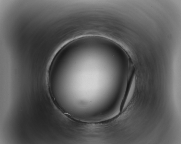 X0000094921527200712061059