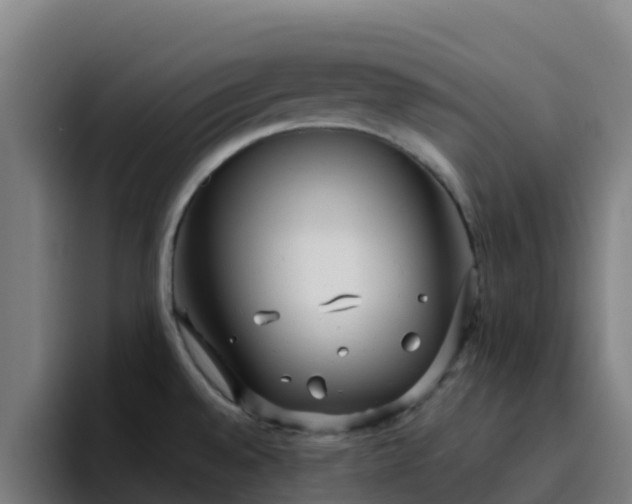 X0000094921528200712061059