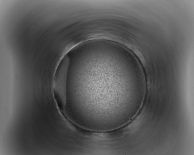 X0000094921529200712061059