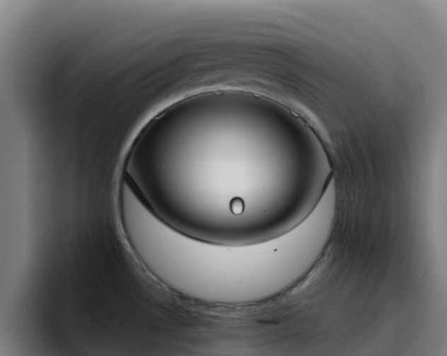 X0000094921530200712061059