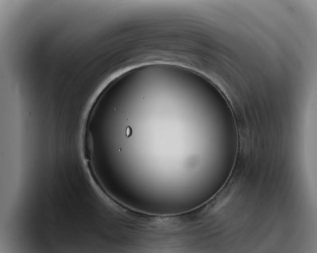 X0000094921531200712061059