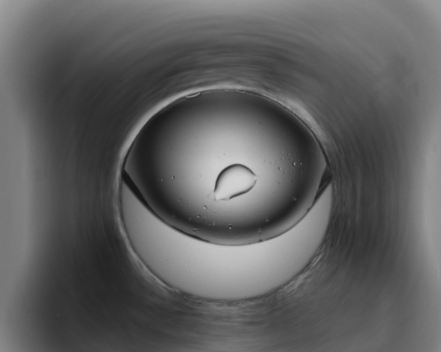 X0000094921532200712061059