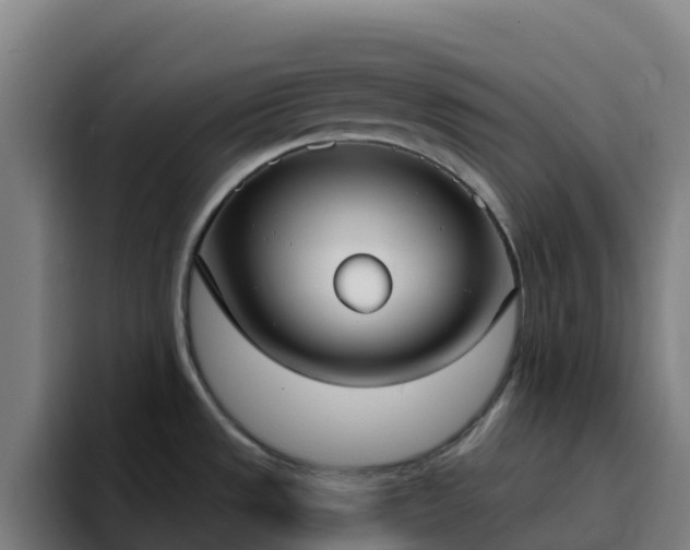 X0000094921533200712061059