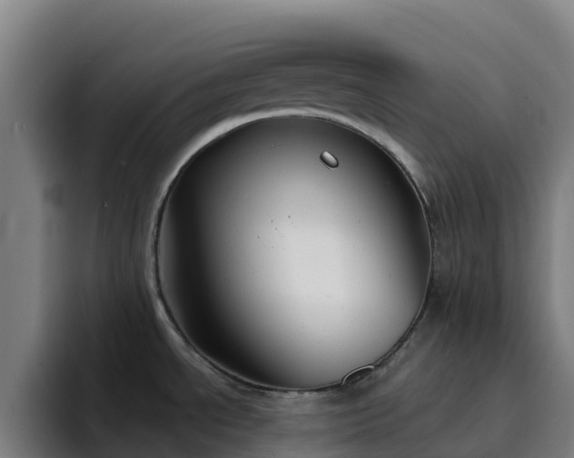 X0000094921534200712061059
