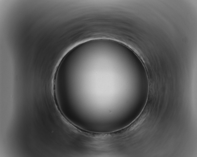 X0000094921535200712061059