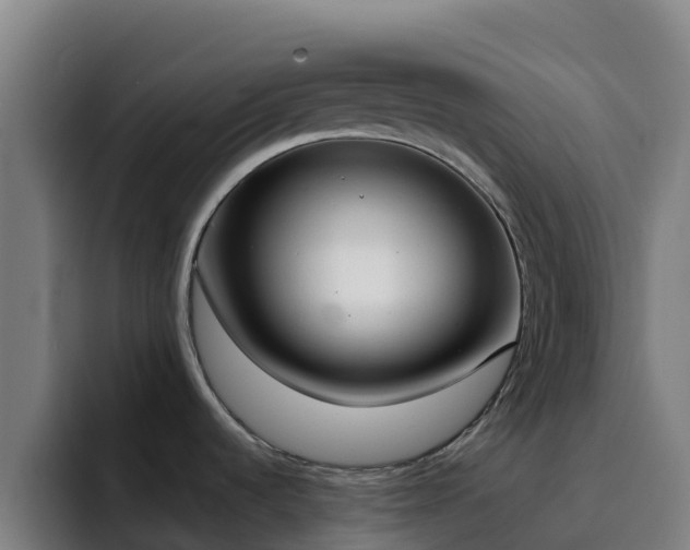 X0000094921536200712061059