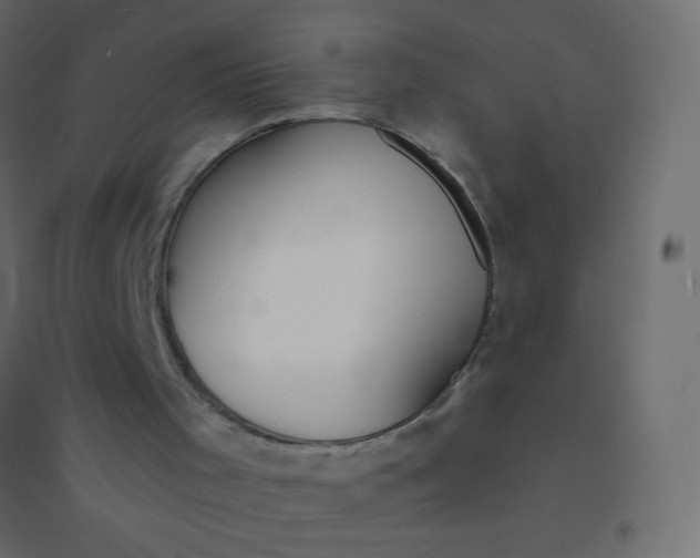 X0000094920001200712131525