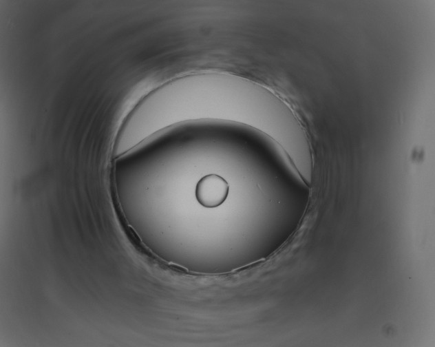 X0000094920003200712131525