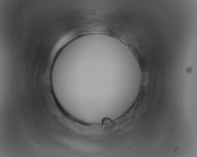 X0000094920004200712131525