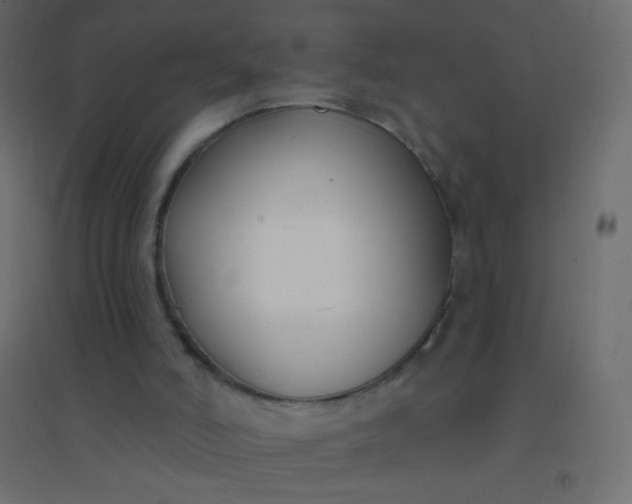 X0000094920006200712131525