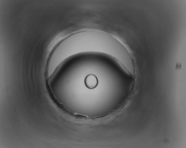 X0000094920007200712131525