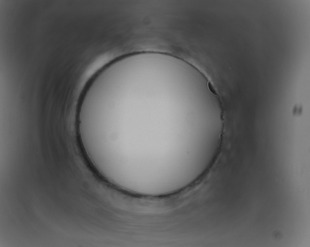 X0000094920008200712131525