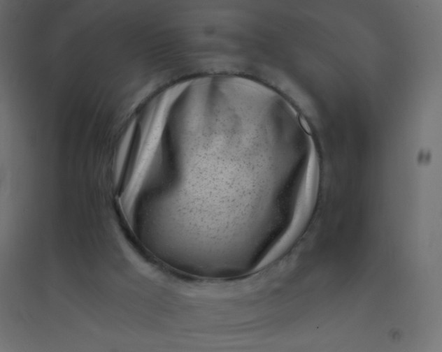 X0000094920009200712131525