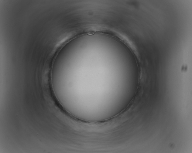 X0000094920010200712131525