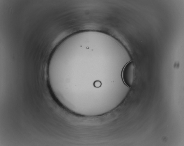 X0000094920011200712131525