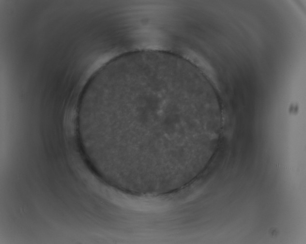 X0000094920012200712131525