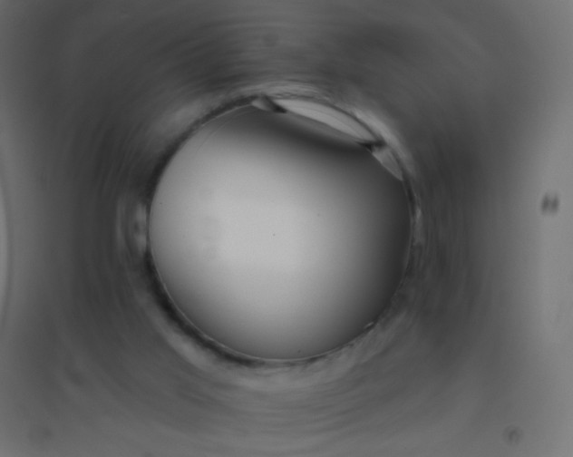 X0000094920013200712131525