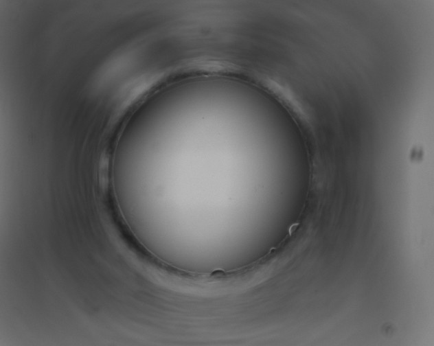 X0000094920014200712131525