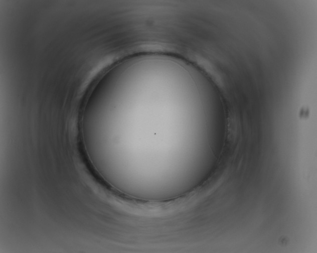 X0000094920015200712131525