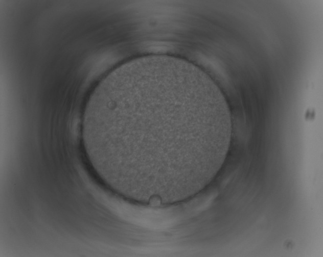 X0000094920016200712131525