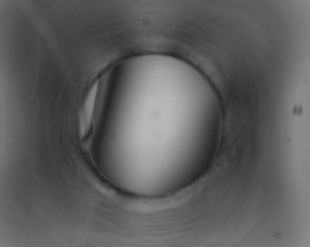 X0000094920017200712131525