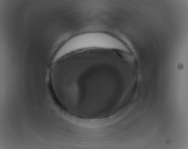 X0000094920019200712131525