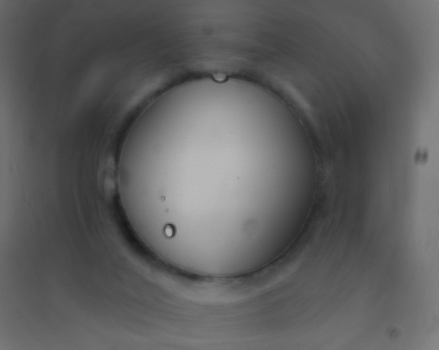 X0000094920020200712131525