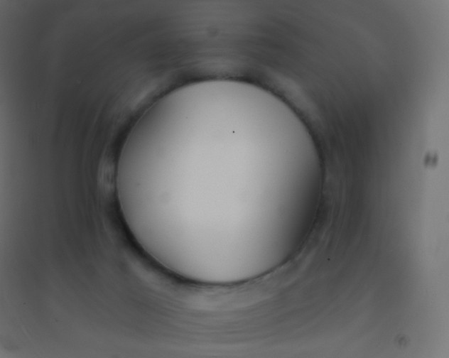 X0000094920021200712131525