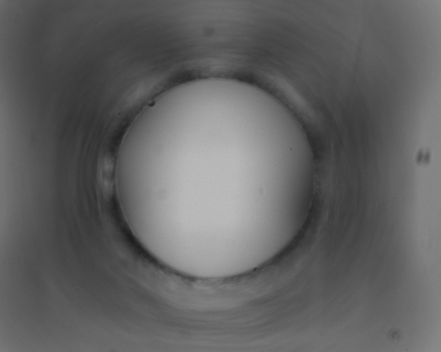 X0000094920022200712131525