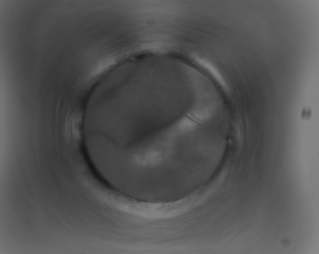 X0000094920023200712131524