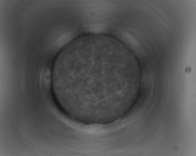 X0000094920024200712131524