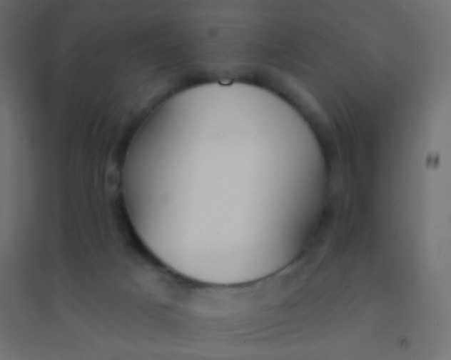 X0000094920025200712131524