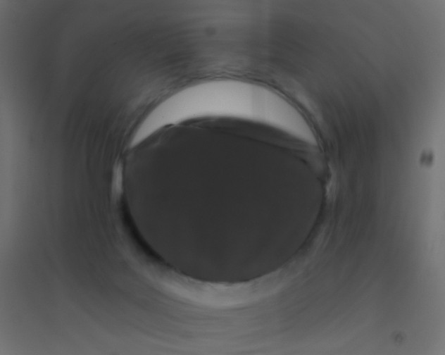 X0000094920027200712131524