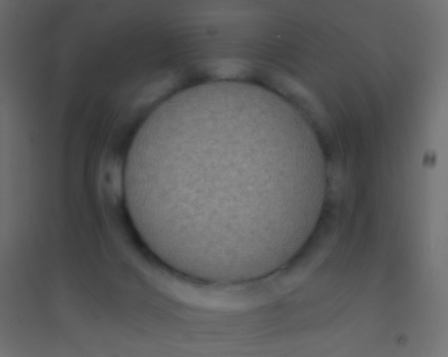 X0000094920028200712131524