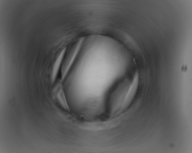 X0000094920029200712131524