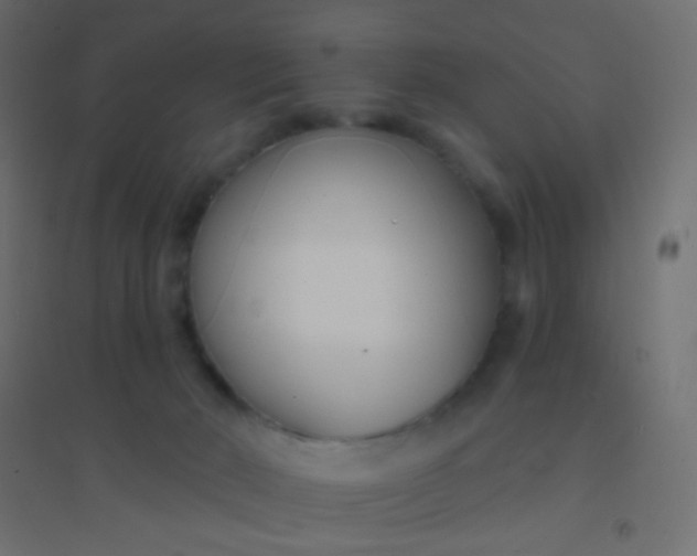 X0000094920030200712131524