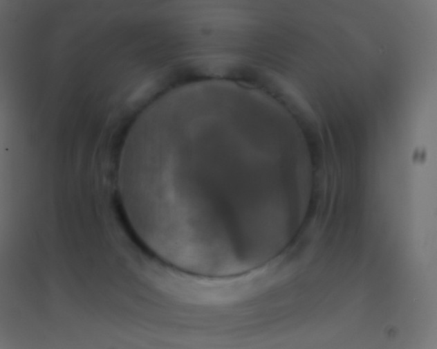 X0000094920031200712131524