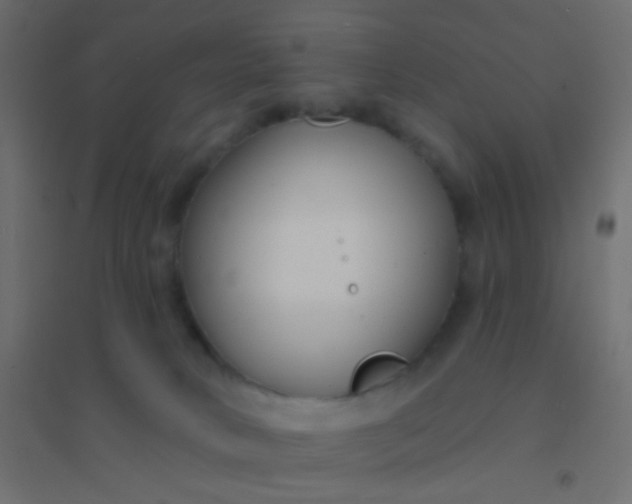 X0000094920034200712131524