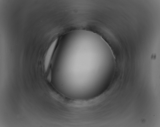 X0000094920037200712131524