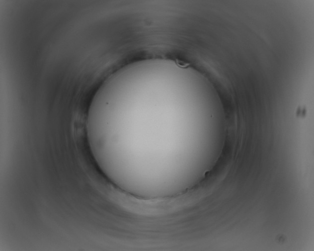 X0000094920038200712131524