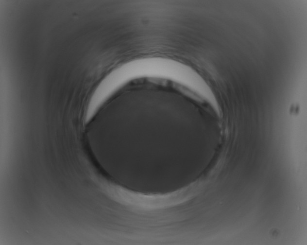 X0000094920039200712131524