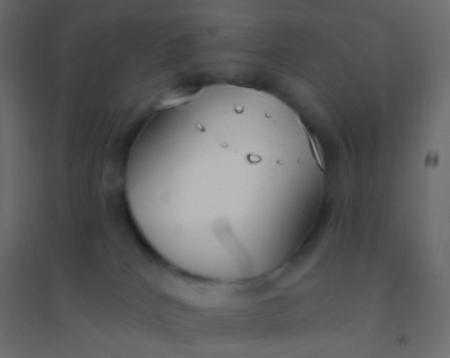 X0000094920040200712131524