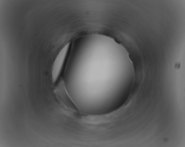 X0000094920041200712131524