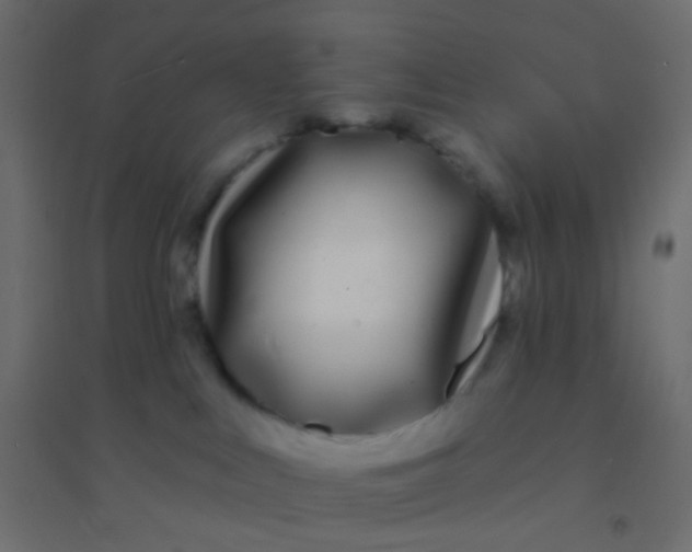 X0000094920043200712131524