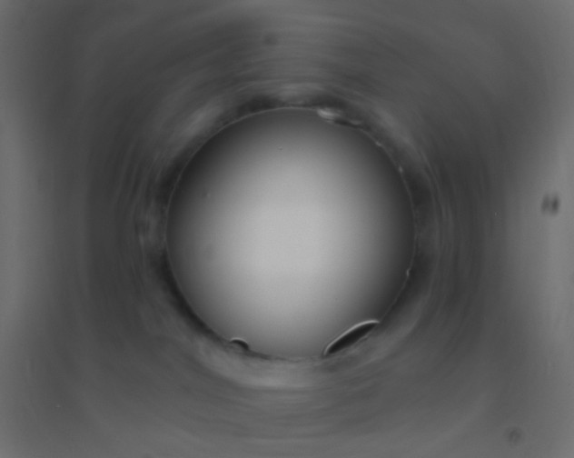 X0000094920044200712131524