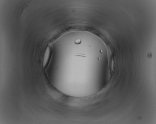 X0000094920045200712131524