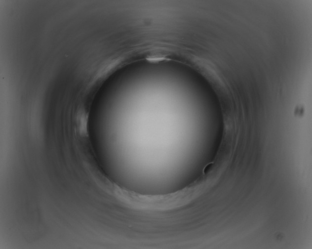 X0000094920046200712131524