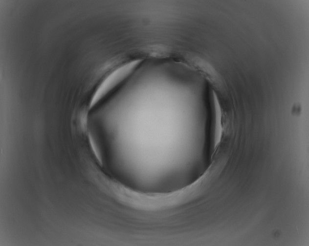 X0000094920047200712131524