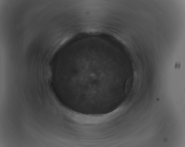 X0000094920048200712131524